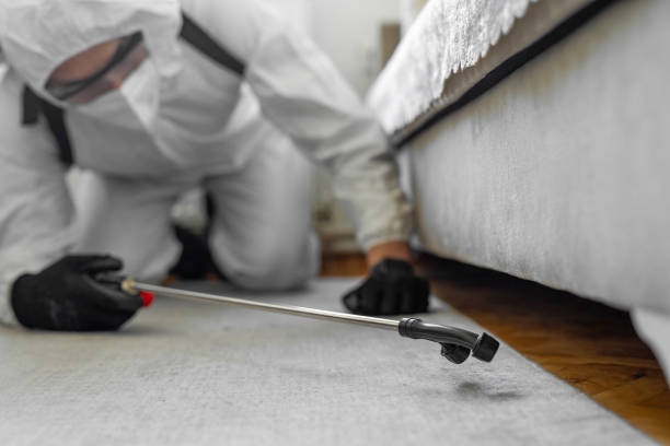 Professional Termite Control technician working in Flagler Beach, FL