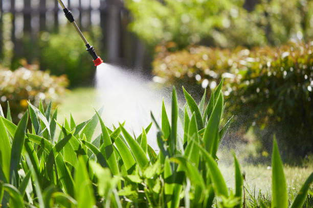 24/7 Emergency Termite Control experts in Flagler Beach, FL
