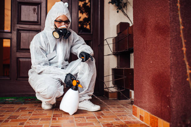 Reliable Termite Control contractor in Flagler Beach, FL by Nex Pest Control